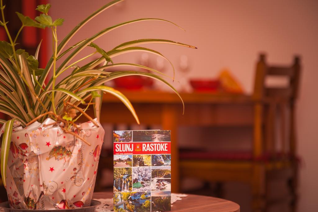 Apartment Zalac Slunj Ngoại thất bức ảnh